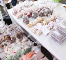 ��s�ɕ��񂾐V�����̍̂ꂽ�Ă̖�؂��