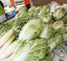 ��l�� �w�̊_�x����