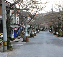 ����������ʂ�̗l�q