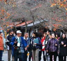 ��ꕔ �Ȃ���Ɏx����ꂽ��