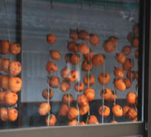 �e�Ƃ��Ƃɍ���銱���`�B���ꂼ��ɖ��킢���Ⴄ�����ł�