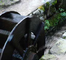 �ʂ�̗��e�ɗ���鐅�̂����炬�̉��͔�����