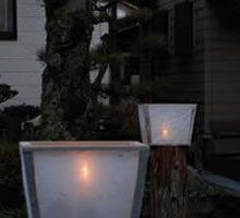 ����������ʂ�ɓ_����ꂽ���U