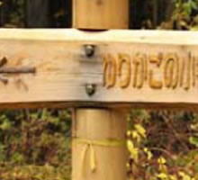 �e�Ƃ��Ƃɍ���銱���`�B���ꂼ��ɖ��킢���Ⴄ�����ł�