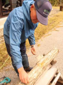 �ő��̂��ܑł�