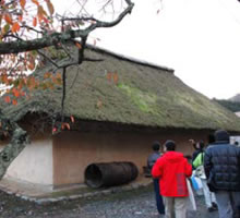 ���������̖���������