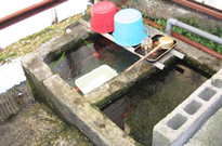 �ړ����ޏ�